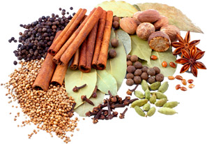 Indian spices